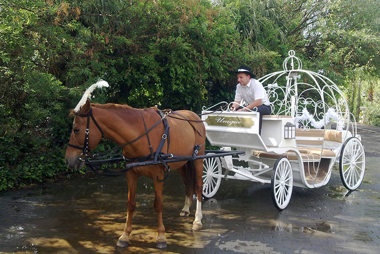 Unique Carriage