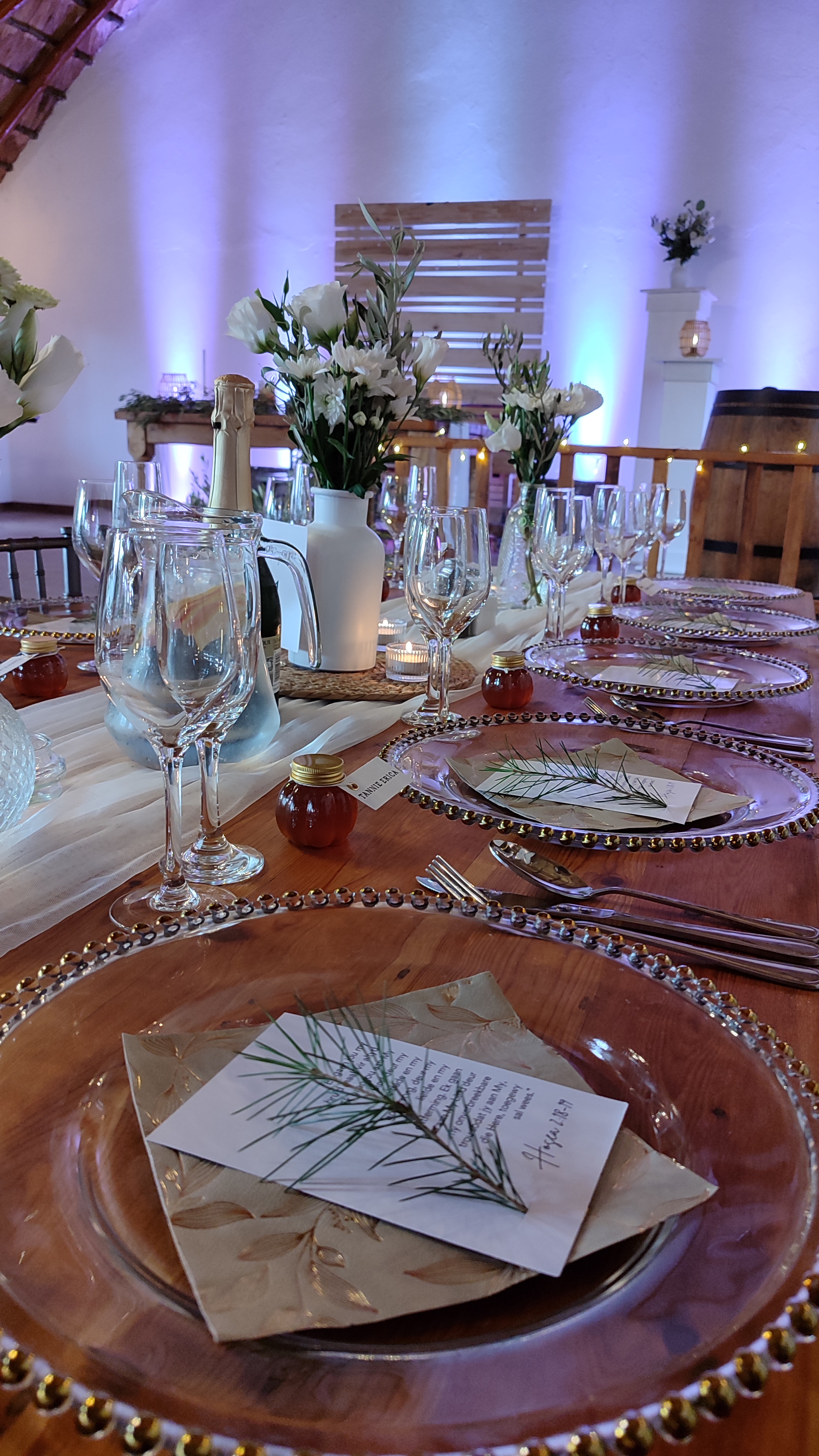 Gauteng Wedding DJ